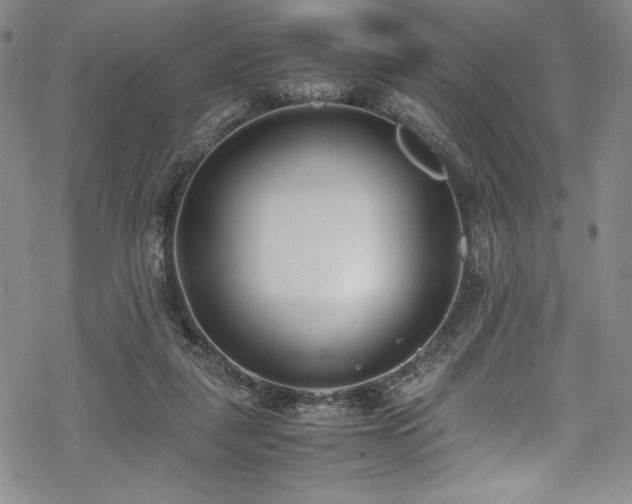 X0000069390259200605121218