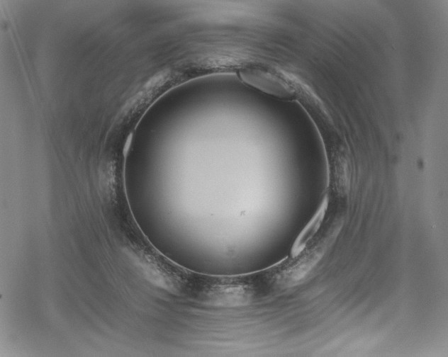 X0000069390260200605121218