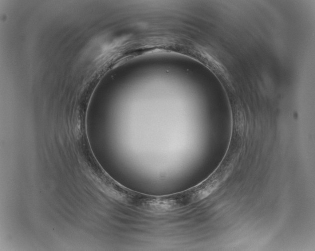 X0000069390261200605121218