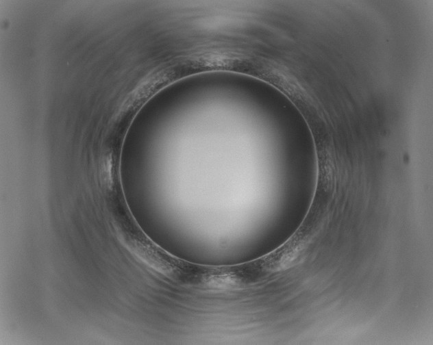 X0000069390262200605121218