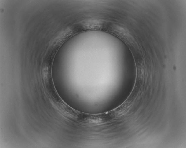 X0000069390263200605121218