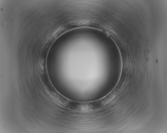 X0000069390264200605121218