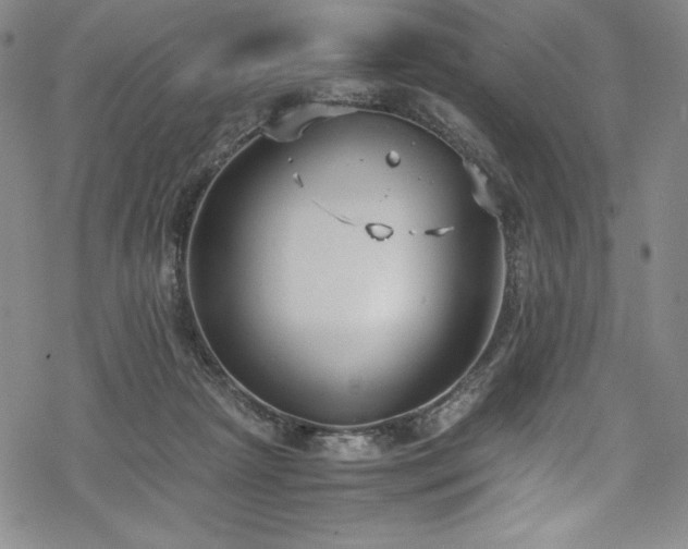 X0000069390265200605121218