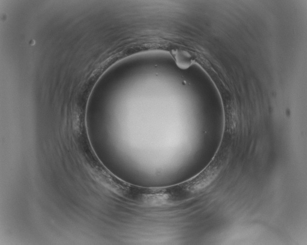 X0000069390266200605121218