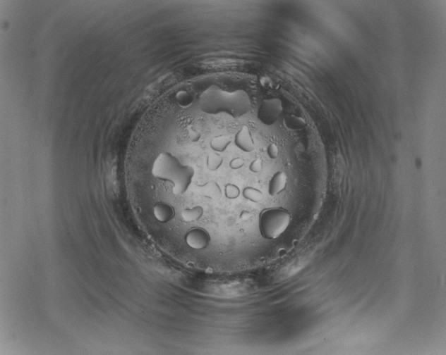 X0000069390267200605121219