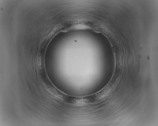 X0000069390268200605121219