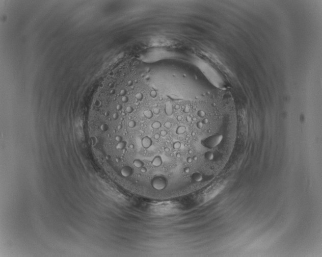 X0000069390269200605121219