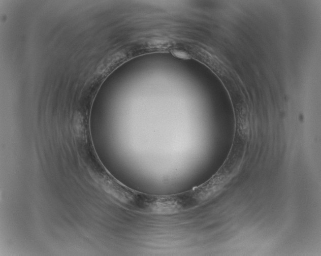 X0000069390270200605121219