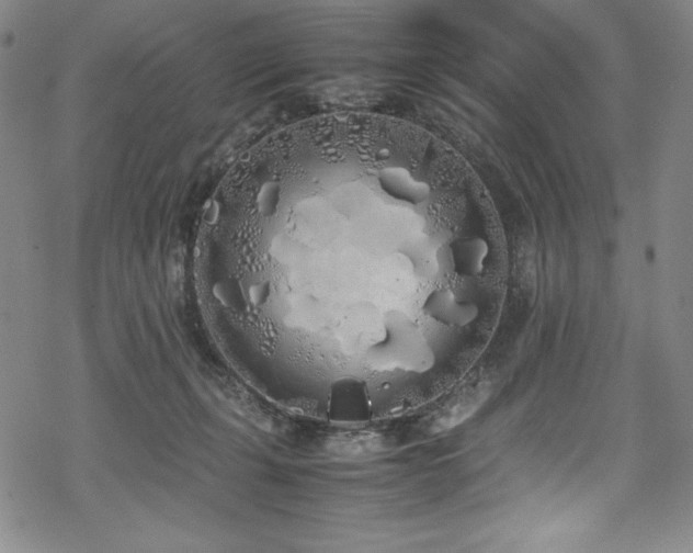 X0000069390271200605121219