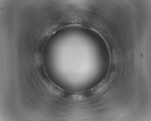 X0000069390272200605121219