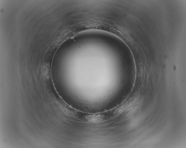 X0000069390273200605121219