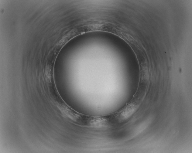 X0000069390274200605121219