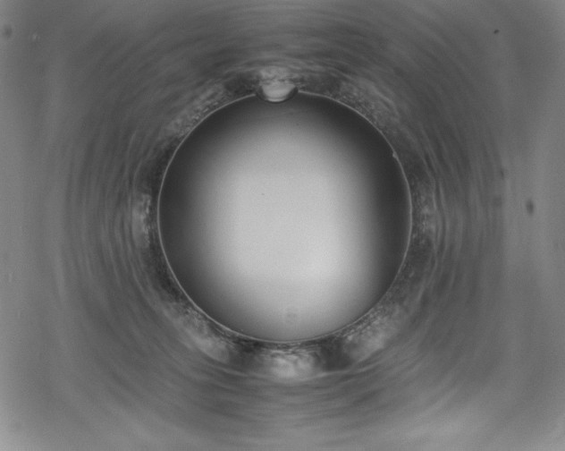 X0000069390275200605121219