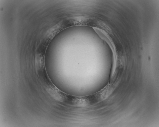 X0000069390276200605121219