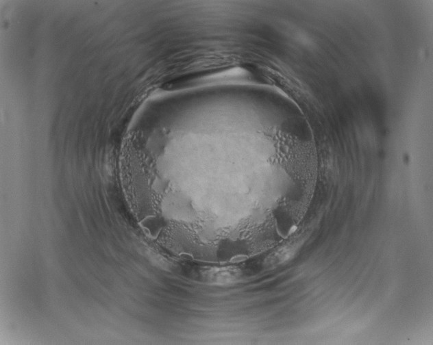 X0000069390277200605121219