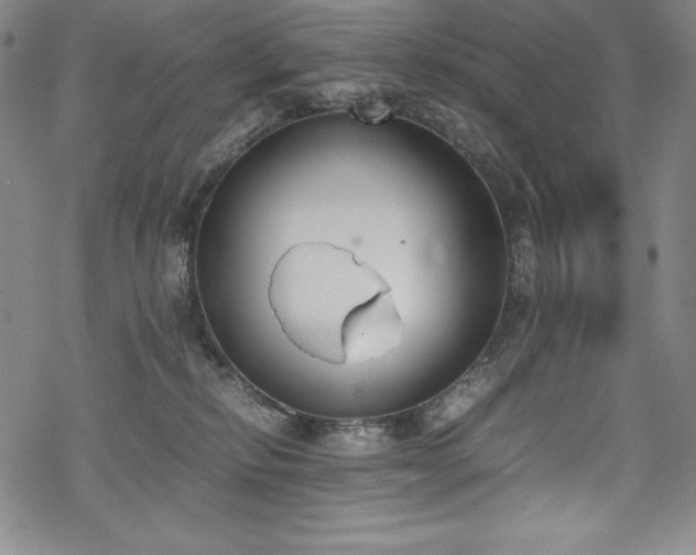 X0000069390278200605121219