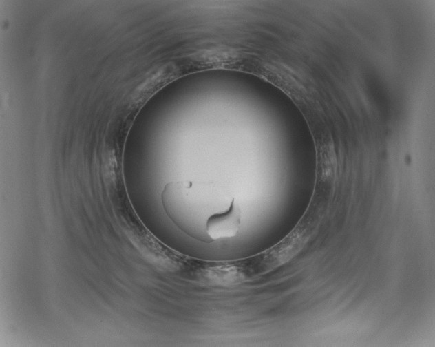 X0000069390279200605121219