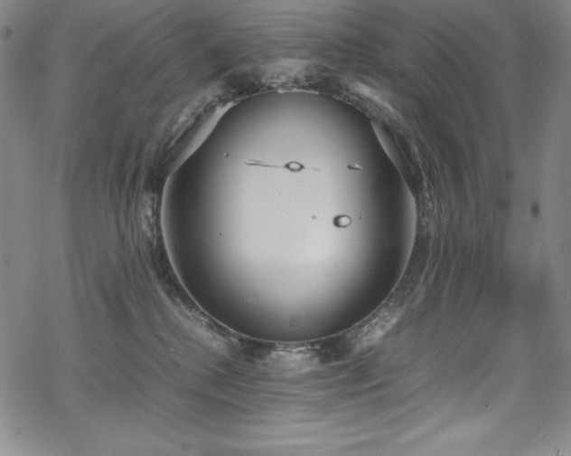 X0000069390280200605121219