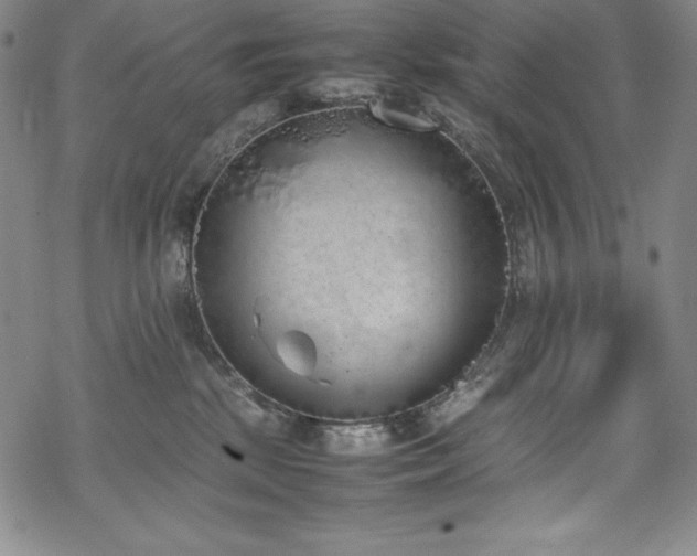 X0000069390281200605121219