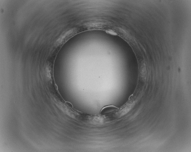 X0000069390282200605121219