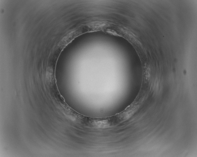 X0000069390283200605121219