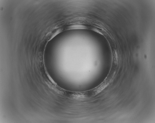 X0000069390284200605121219