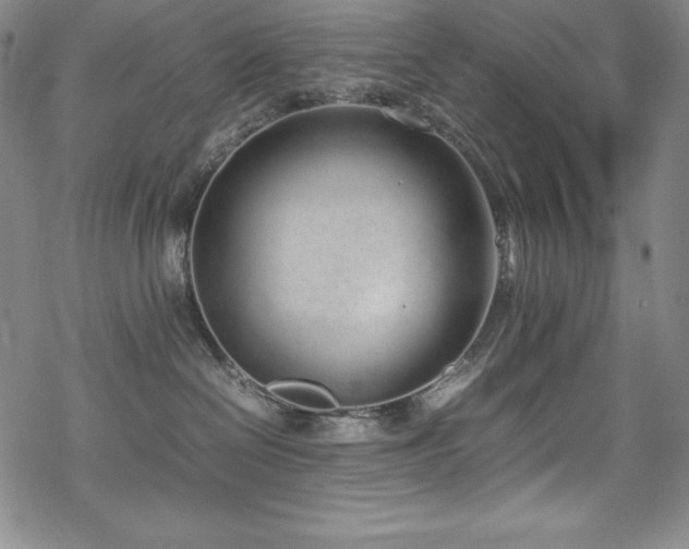 X0000069390286200605121219