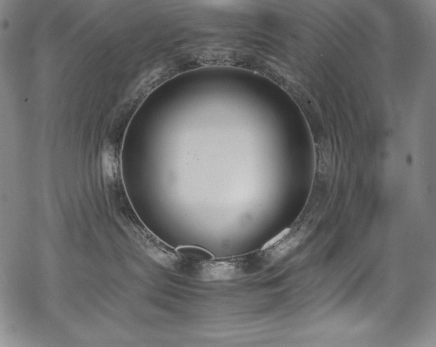 X0000069390287200605121219