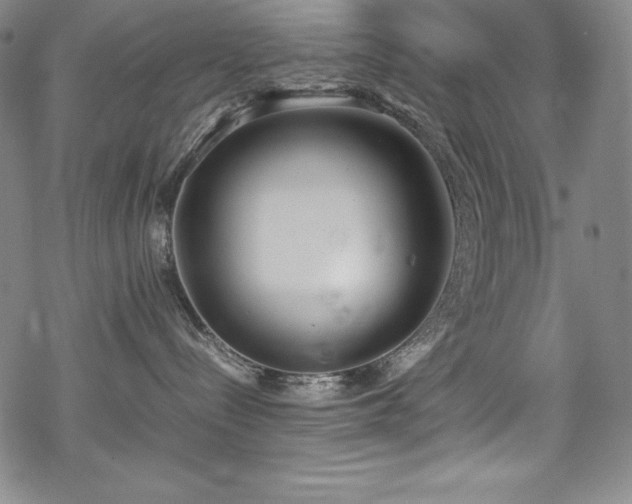 X0000069390288200605121219