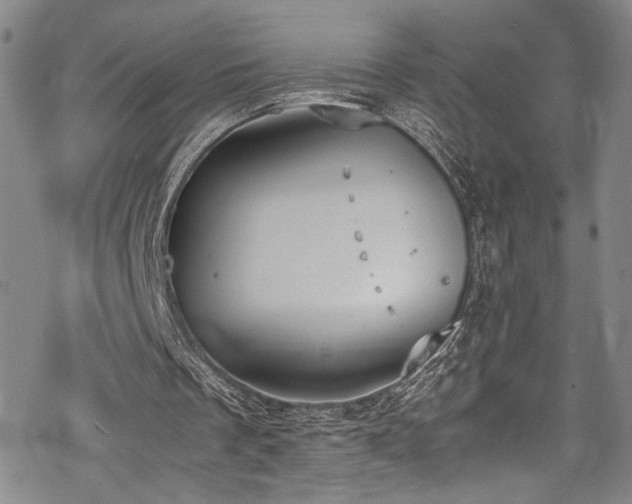 X0000069390289200605121218