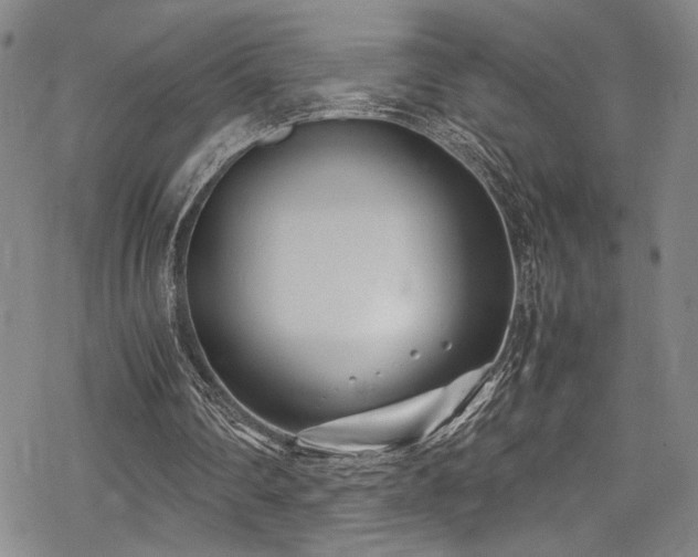 X0000069390290200605121218