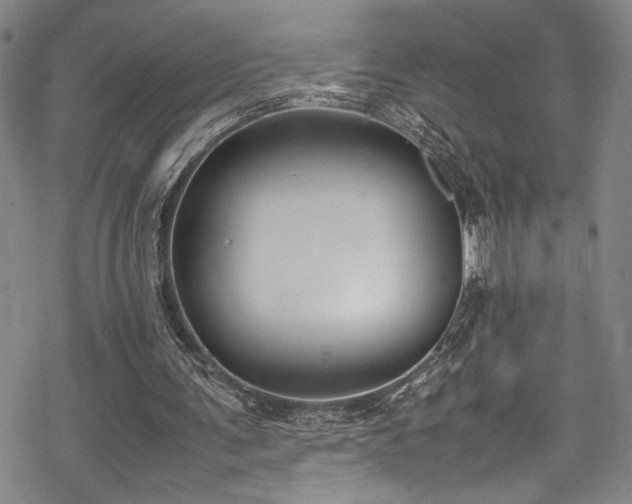 X0000069390291200605121218