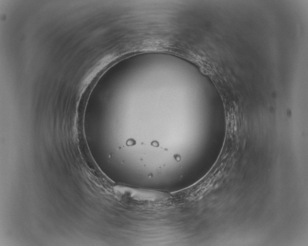 X0000069390292200605121218