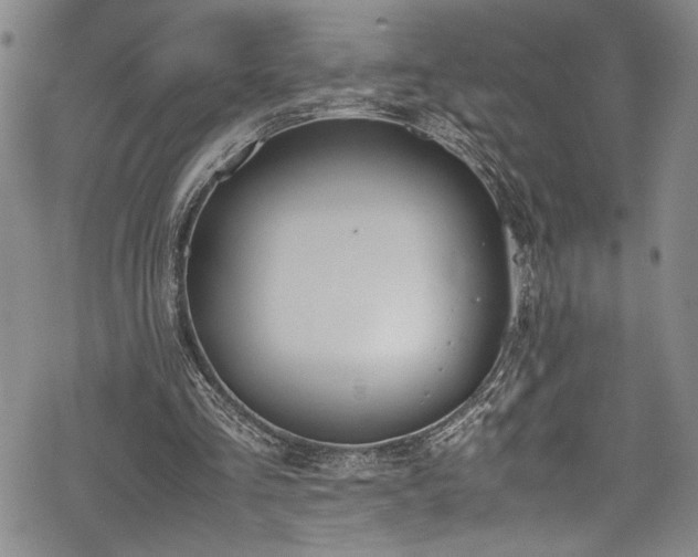 X0000069390293200605121218