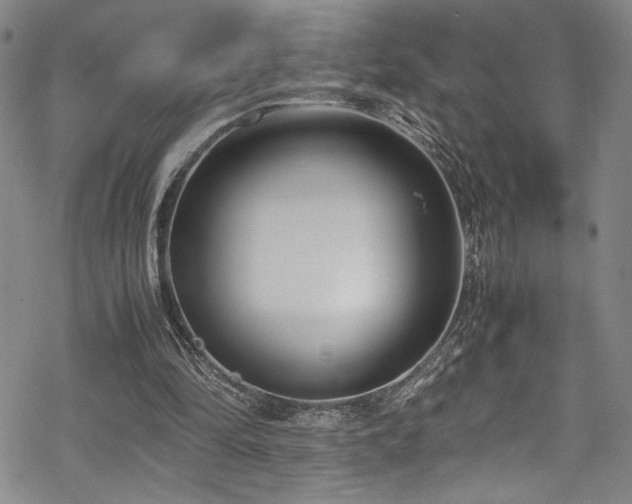 X0000069390294200605121218