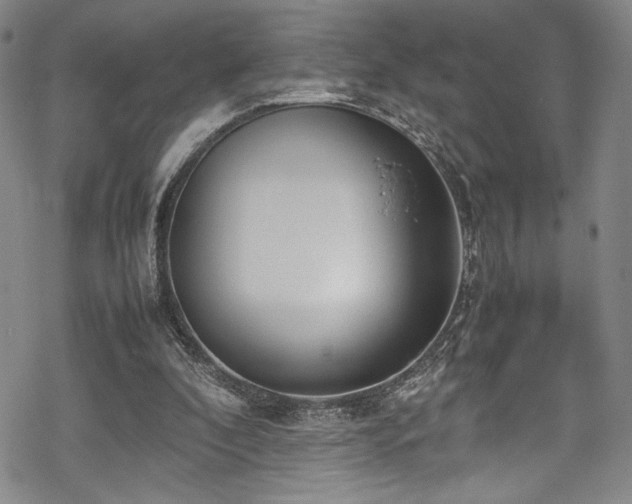 X0000069390296200605121218