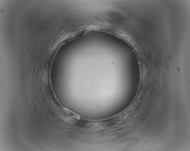 X0000069390297200605121218