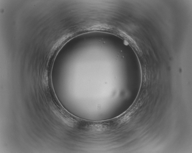 X0000069390298200605121218