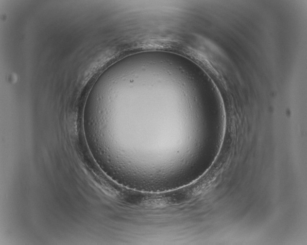 X0000069390299200605121218