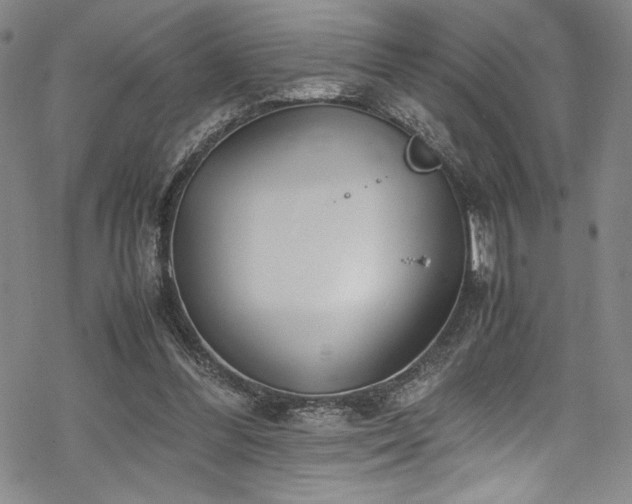 X0000069390300200605121218