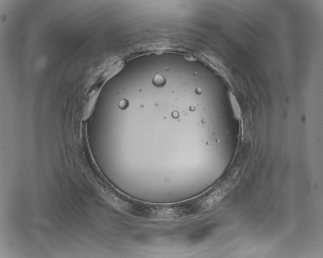 X0000069390301200605121218