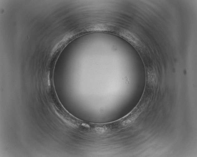 X0000069390302200605121218