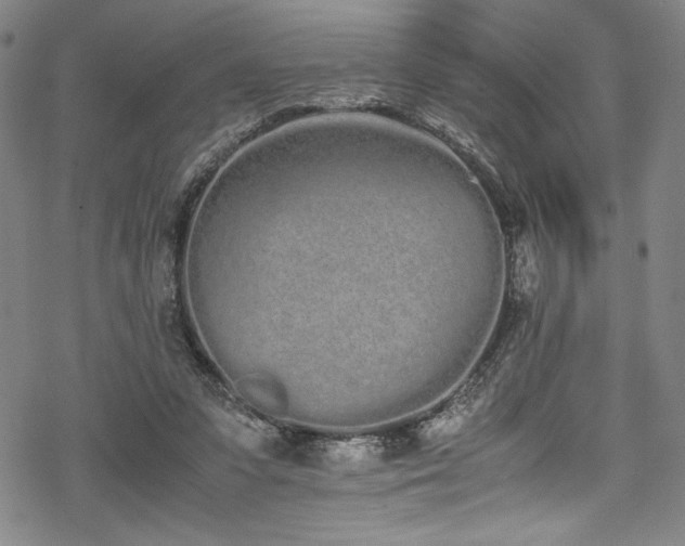 X0000069390303200605121218