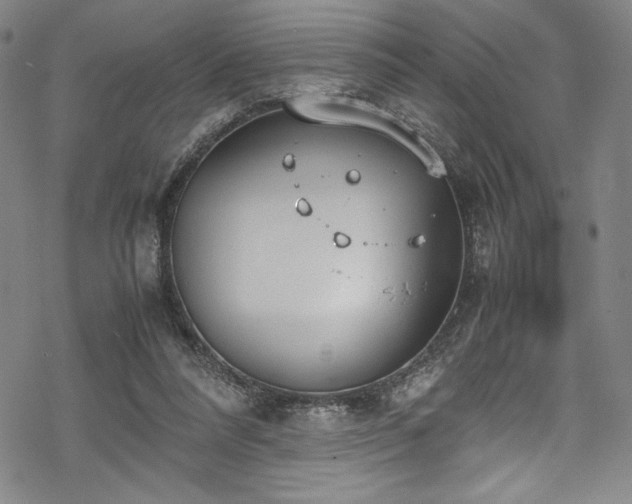 X0000069390304200605121218