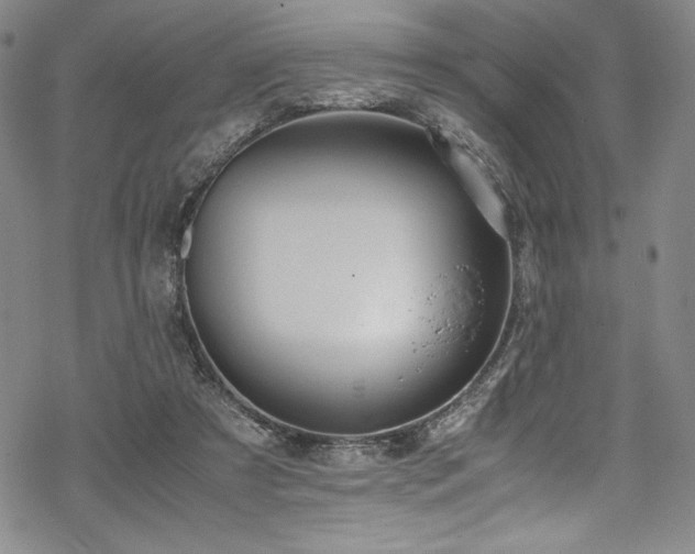 X0000069390305200605121218