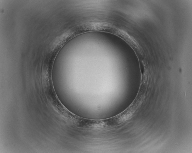 X0000069390306200605121218