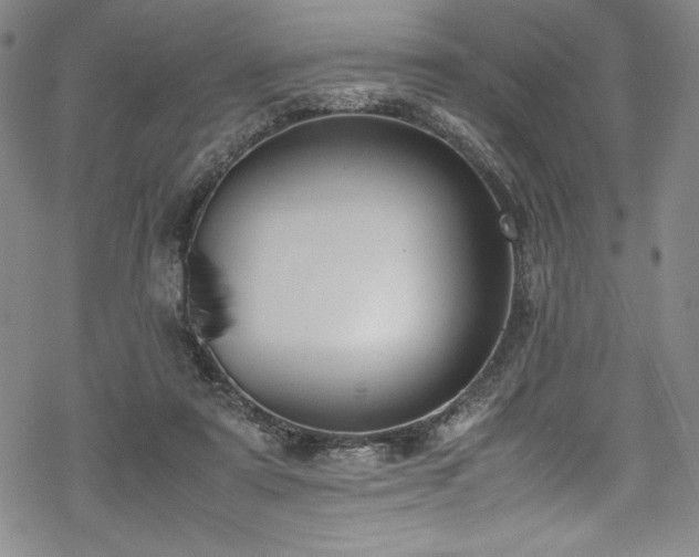 X0000069390307200605121218