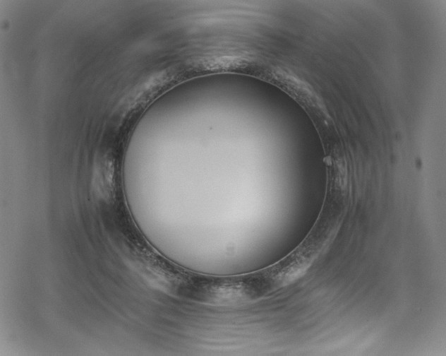 X0000069390308200605121218