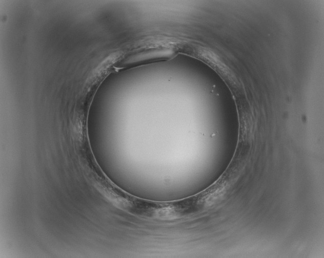 X0000069390309200605121218