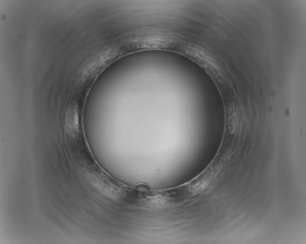 X0000069390310200605121218